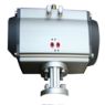 acpk31 picture small.jpg