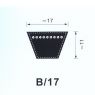 vblb17-smallpic.jpg